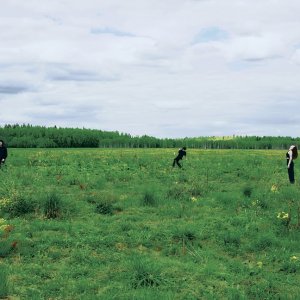 ЧЕТВЁРТЫЙ ПАЦИЕНТ - ЧП